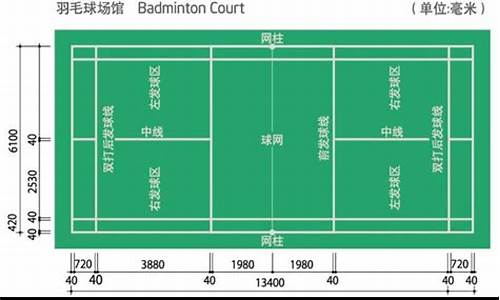 羽毛球场地尺寸标准尺寸,羽毛球场地尺寸标准尺寸图线多宽